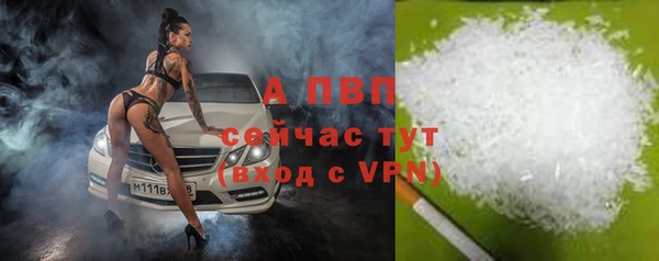 СК Магадан