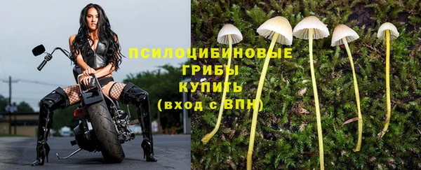трава Майский