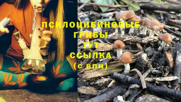 СК Магадан