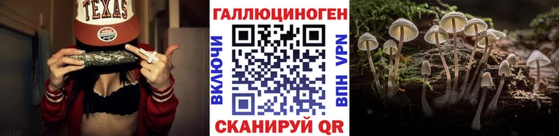 что такое   Озёрск  Галлюциногенные грибы GOLDEN TEACHER 